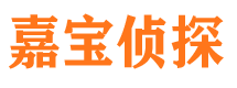 江安市调查公司